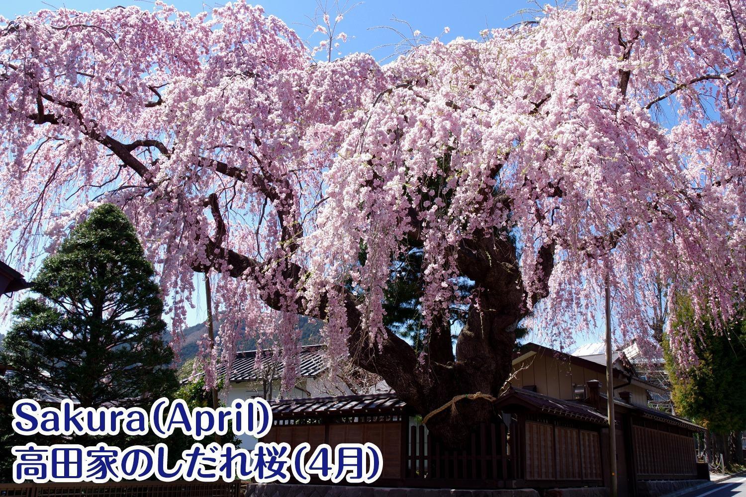 Nikko Stay House Arai - Vacation Stay 14994V Exterior photo